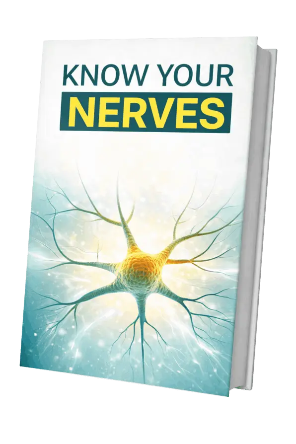 Nervecell Bonus 2